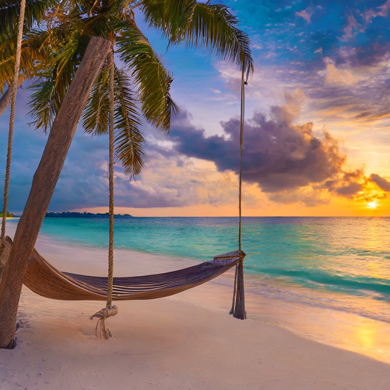 Caribbean beach and hammock in palm tree